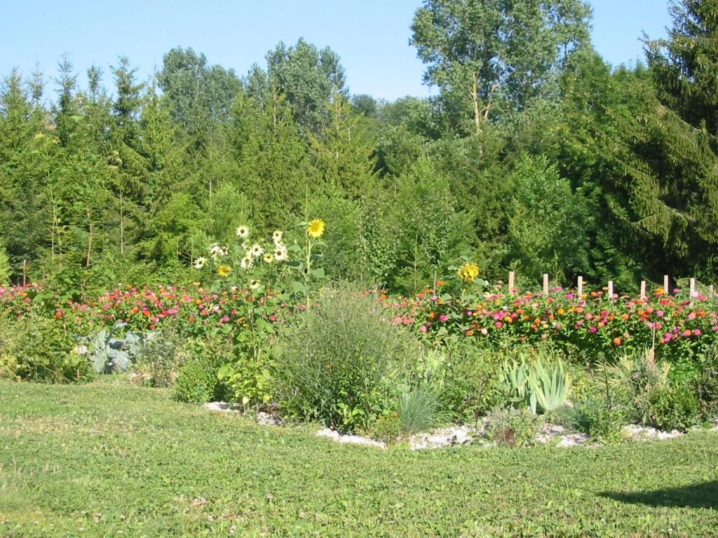 Bed and Breakfast Au Pré du Moulin Clamanges Exterior foto
